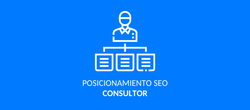 tareas un consultor SEO