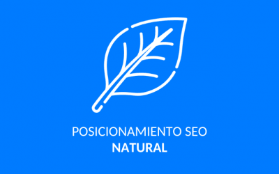 Posicionamiento natural en Google