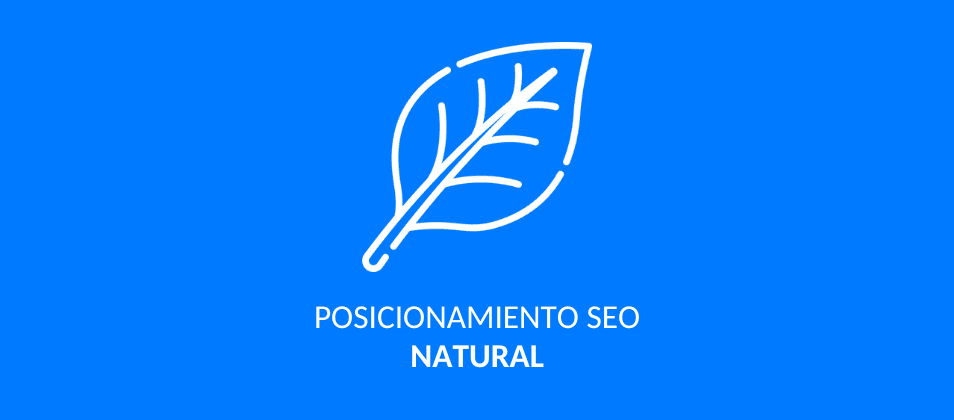 Posicionamiento natural en Google